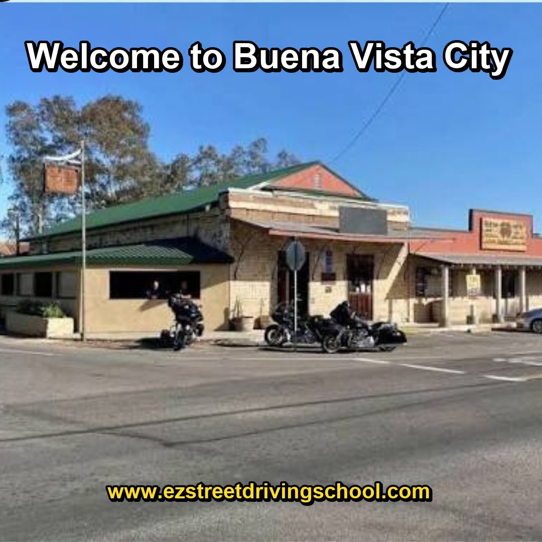Driving Lessons in Buena Vista
